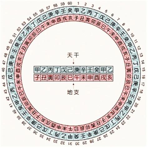 天干和地支|干支对照表